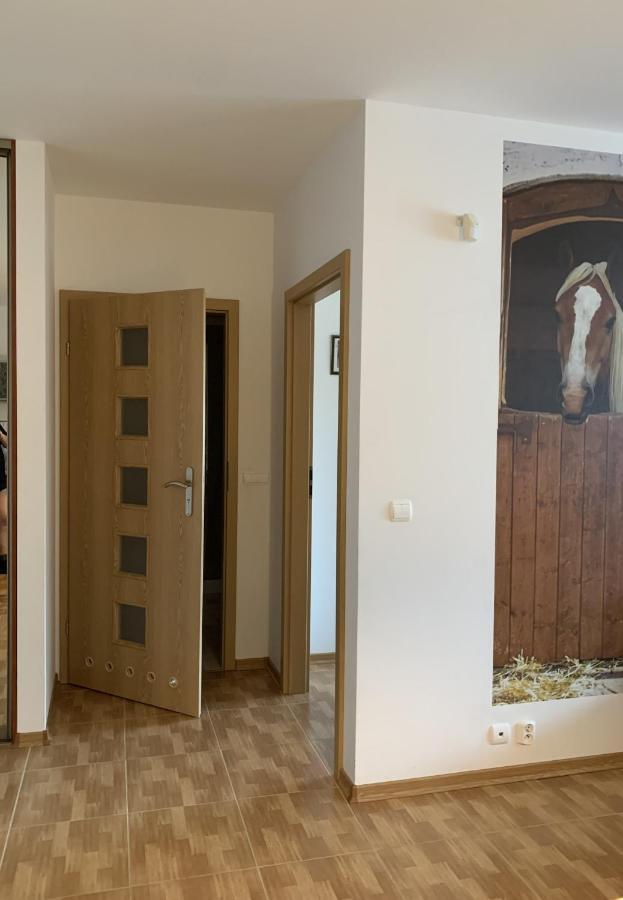Zawsze Sloneczny Apartament Grzybowo Гжибово Екстериор снимка